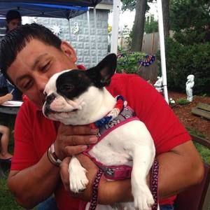 Meet your Posher, Hugo